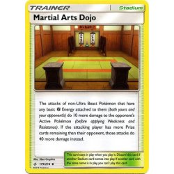 Martial Arts Dojo - 179/214...